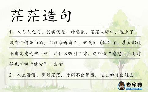茫茫造句