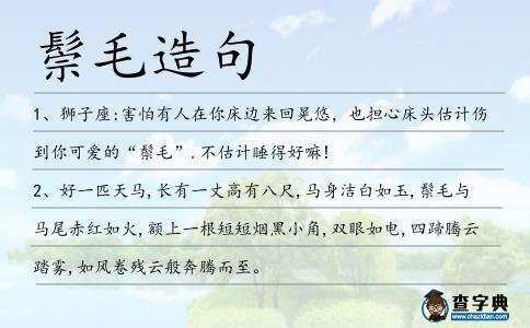 鬃毛造句