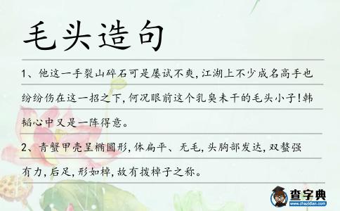 毛頭造句