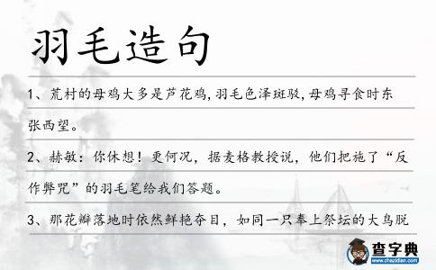 羽毛造句