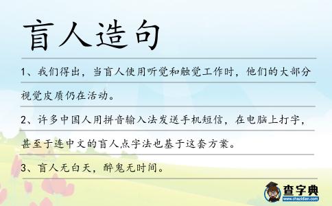 盲人造句