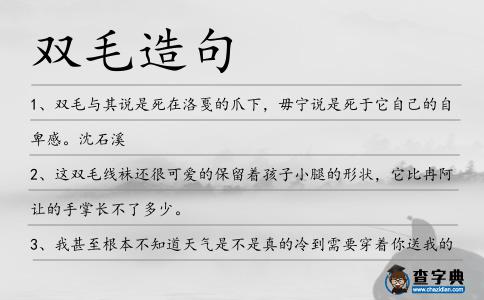 雙毛造句