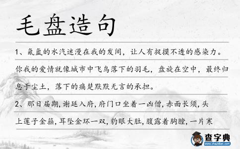 毛盤造句