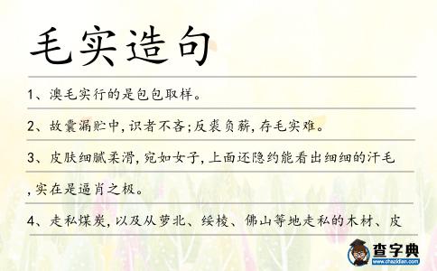毛實造句