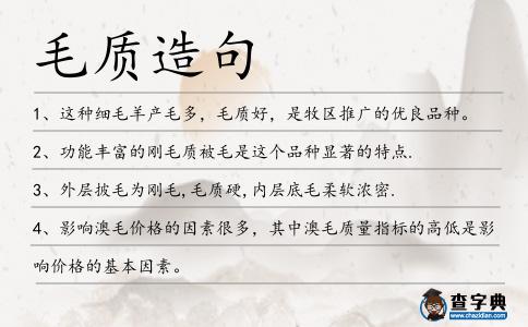 毛質(zhì)造句