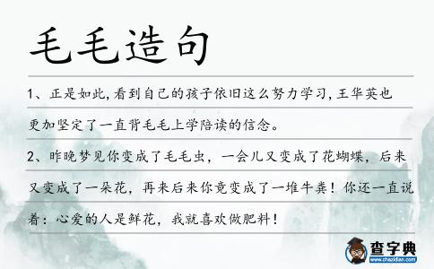 毛毛造句