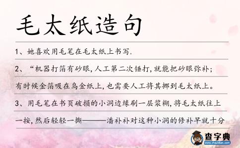 毛太紙造句