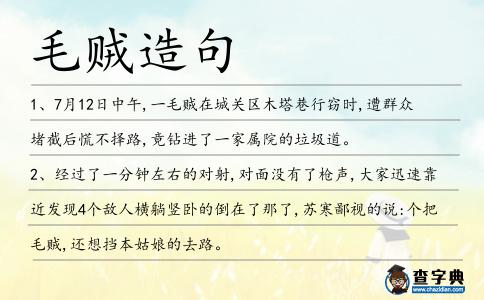 毛賊造句