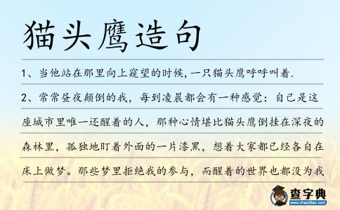 貓頭鷹造句