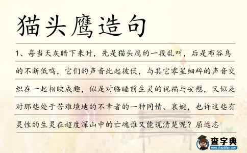 貓頭鷹造句
