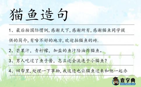 貓魚造句
