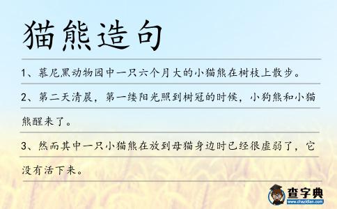 貓熊造句