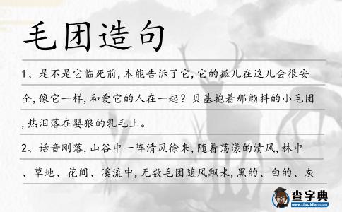 毛團造句
