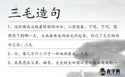 三毛造句