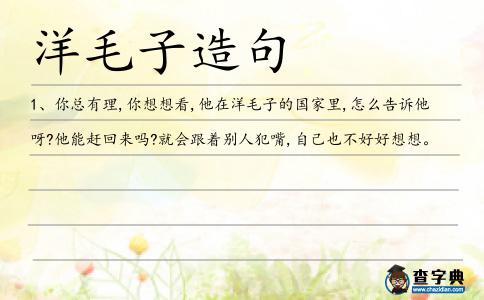 洋毛子造句