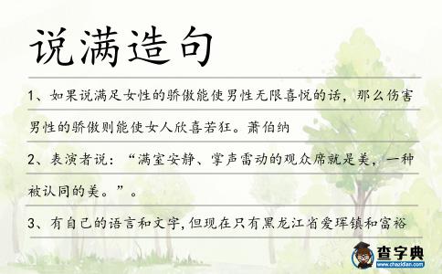 說滿造句