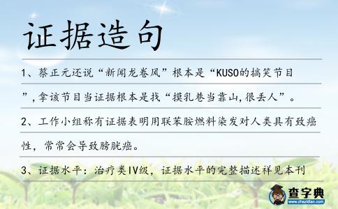 證據造句