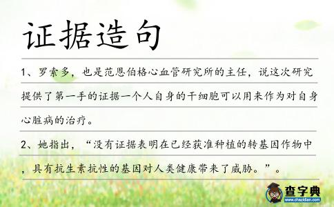 證據造句