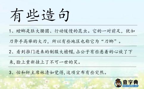 有些造句