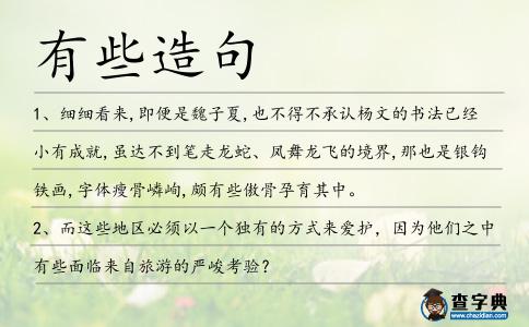 有些造句