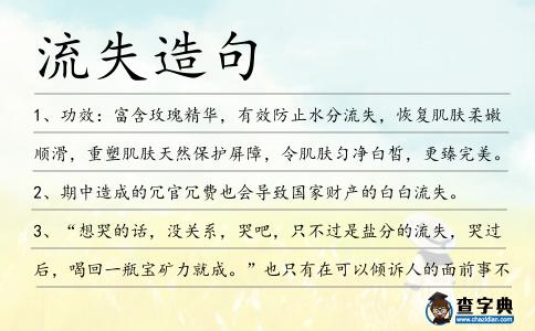 流失造句