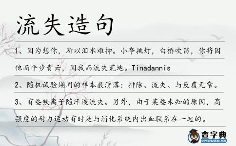 流失造句