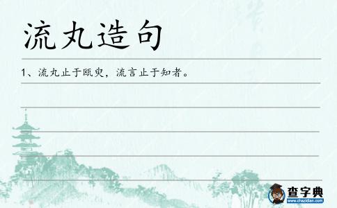 流丸造句