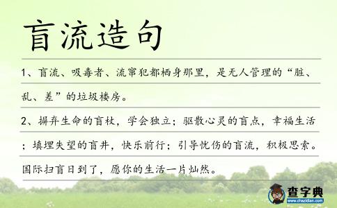 盲流造句