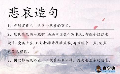 悲哀造句
