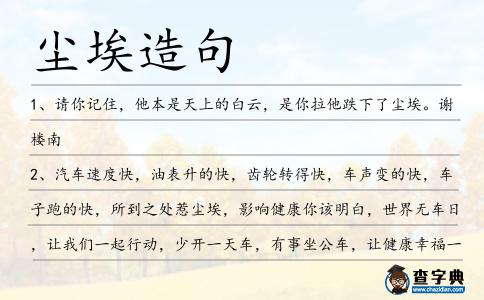 塵埃造句