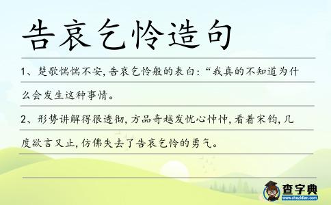 告哀乞憐造句