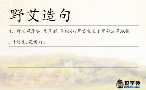 野艾造句