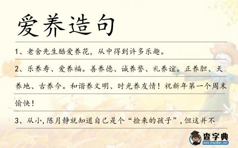 愛養(yǎng)造句