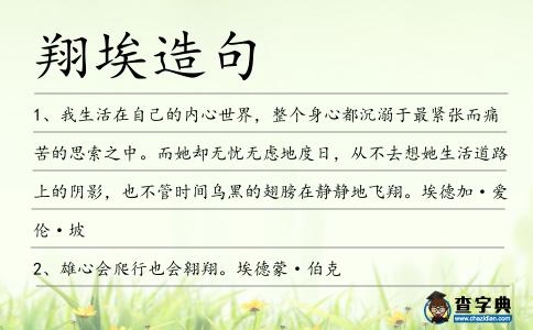 翔埃造句