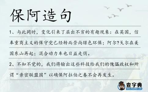 保阿造句
