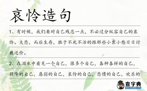 哀憐造句