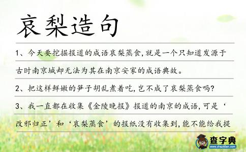 哀梨造句