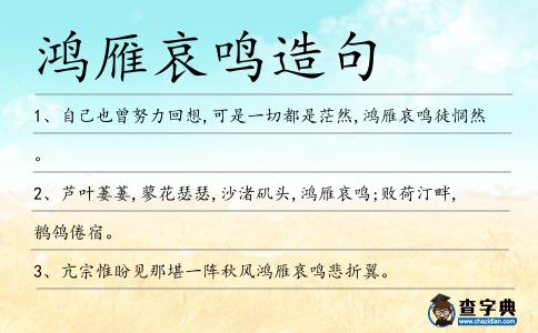 鴻雁哀鳴造句