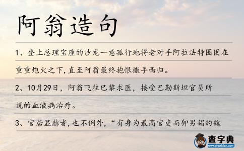 阿翁造句