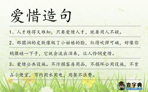 愛惜造句