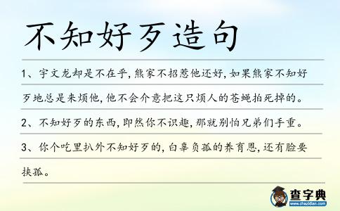 不知好歹造句