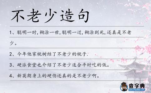 不老少造句