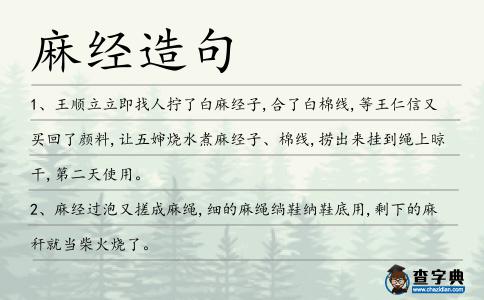 麻經造句