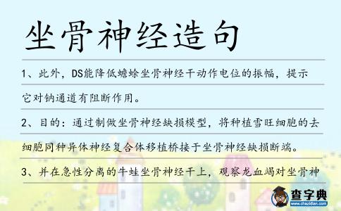 坐骨神經(jīng)造句