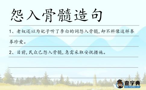 怨入骨髓造句