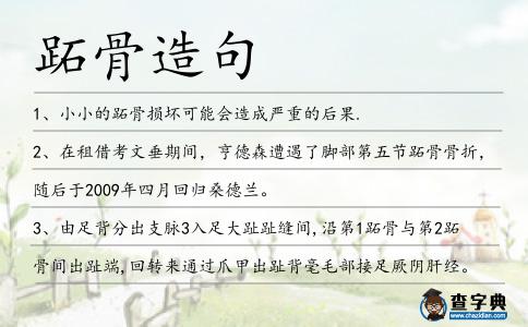 跖骨造句