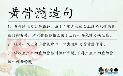黃骨髓造句