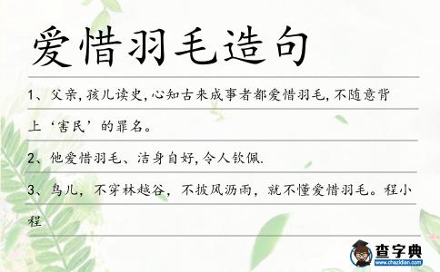 愛惜羽毛造句