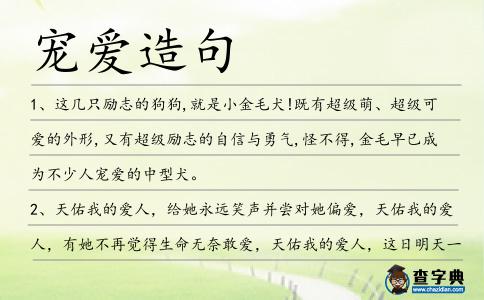 寵愛造句