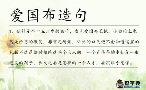 愛國布造句